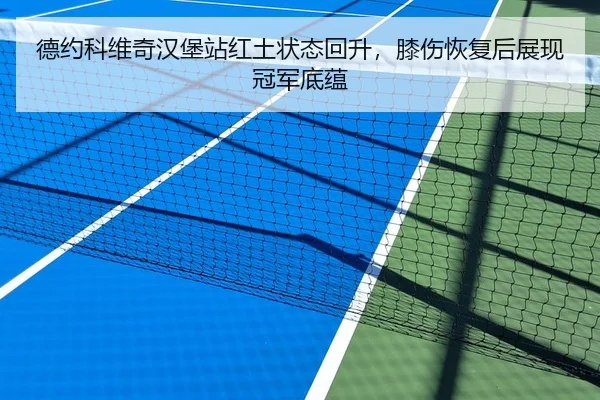 德约科维奇汉堡站红土状态回升，膝伤恢复后展现冠军底蕴