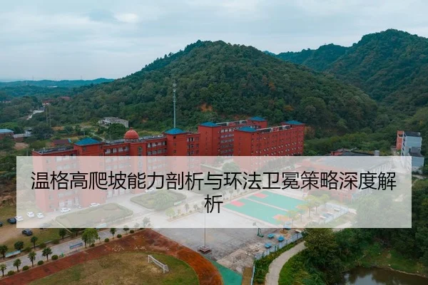 wen-ge-gao-pa-po-neng-li-pou-xi-yu-huan-fa-wei-mian-ce-lve-shen-du-jie-xi-2-137.jpg