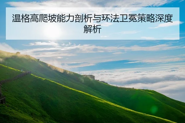 wen-ge-gao-pa-po-neng-li-pou-xi-yu-huan-fa-wei-mian-ce-lve-shen-du-jie-xi-3-904.jpg