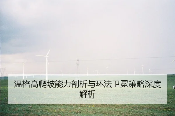 温格高爬坡能力剖析与环法卫冕策略深度解析