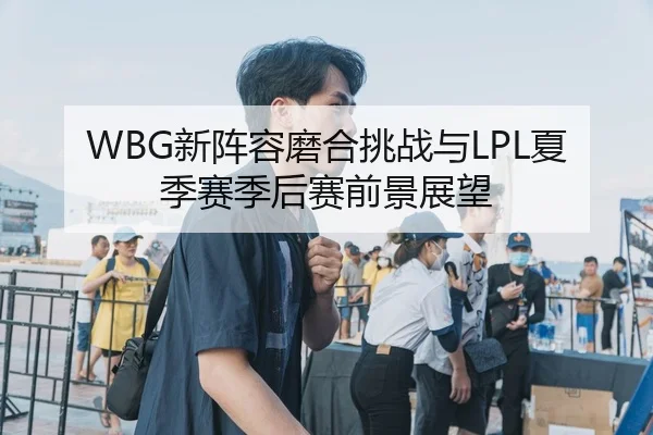 WBG新阵容磨合挑战与LPL夏季赛季后赛前景展望