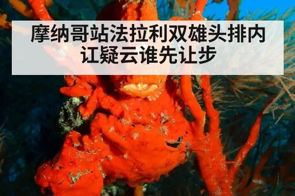 摩纳哥站法拉利双雄头排内讧疑云谁先让步