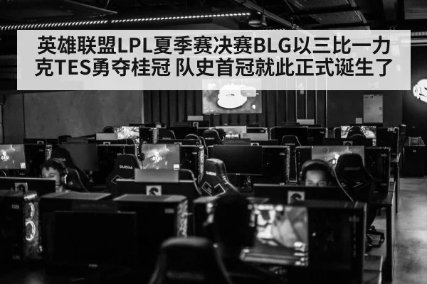 英雄联盟LPL夏季赛决赛BLG以三比一力克TES勇夺桂冠 队史首冠就此正式诞生了