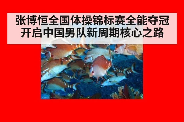 张博恒全国体操锦标赛全能夺冠 开启中国男队新周期核心之路
